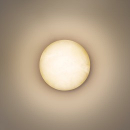 Накладной светильник Odeon Light NATURE 7190/6WL