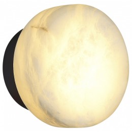 Накладной светильник ST-Luce Only SL1019.401.01
