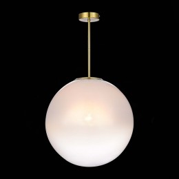 Светильник на штанге ST-Luce Cassius SL1190.222.01