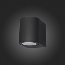 Накладной светильник ST-Luce Borgo SL9001.401.01