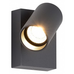 Светильник на штанге ST-Luce Deck SL9515.701.01