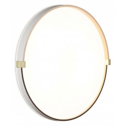 Накладной светильник Sonex Olidi White 7646/DL