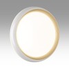 Накладной светильник Sonex PALE 7650/ELN