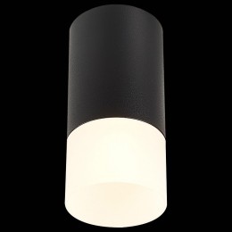 Накладной светильник ST-Luce ST100 ST100.412.01