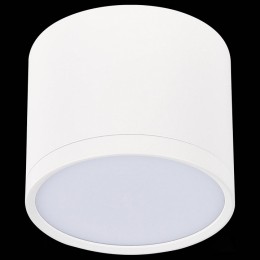 Накладной светильник ST-Luce Rene ST113.532.09