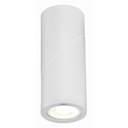 Светильник на штанге ST-Luce ST650 ST650.502.01