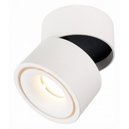 Светильник на штанге ST-Luce ST652 ST652.532.12