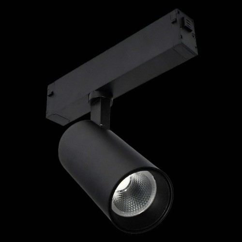 Светильник на штанге ST-Luce SKYLINE 220 ST660.496.10H