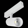 Светильник на штанге ST-Luce SKYLINE 220 ST660.596.10H