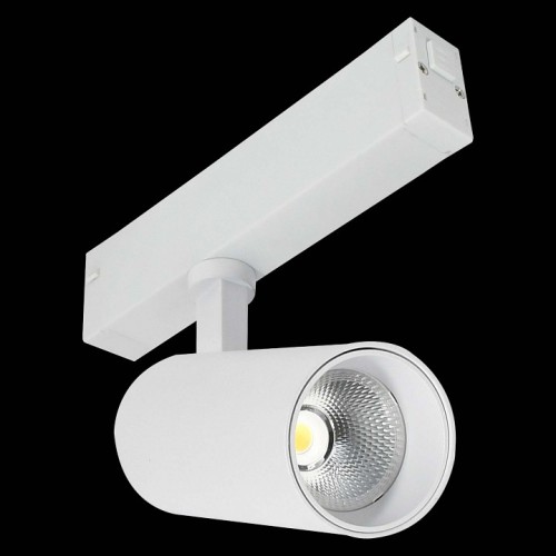 Светильник на штанге ST-Luce SKYLINE 220 ST660.596.10H