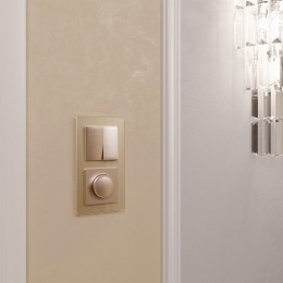 Рамка на 2 поста Werkel Favorit (шампань) W0021111