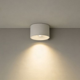 Накладной светильник Wertmark WTA.O06 WTA.O06.007.30.12
