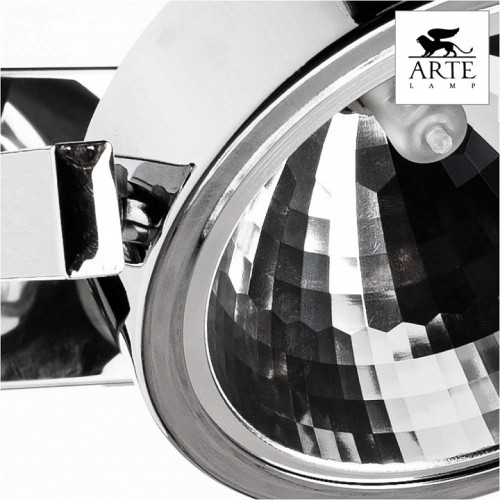 Светильник на штанге Arte Lamp Faccia A4507PL-2CC