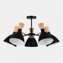 Люстра на штанге EVOLUCE VISTA SLE1256-402-05