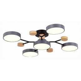 Потолочная люстра EVOLUCE Faema SLE6006-702-05