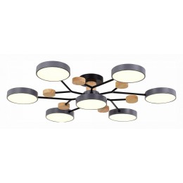 Потолочная люстра EVOLUCE Faema SLE6006-702-07