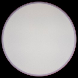 Накладной светильник Loft it Axel 1 10002/24 Pink