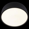 Накладной светильник Loft it Axel 10201/350 Black