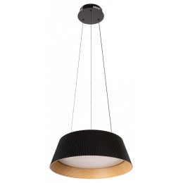 Подвесной светильник Loft it Evans 10224P Black