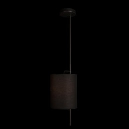 Светильник на штанге Loft it Ritz 10253P Black