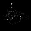 Подвесная люстра Loft it Flock of Light 10309/21 CR