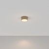 Накладной светильник Maytoni Zon C032CL-L12MG3K
