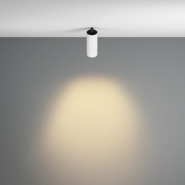 Встраиваемый светильник на штанге Maytoni FOCUS LED C053CL-L12W2.7K-W-W