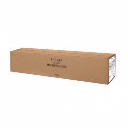 Накладной светильник Freya Fancy FR6059WL-L28W