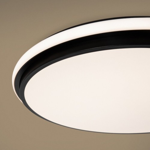 Накладной светильник Freya Pie FR6086CL-L117B