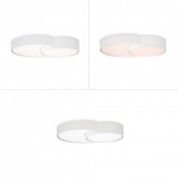 Накладной светильник Freya Items FR6094CL-L72W