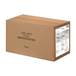 Накладной светильник Freya Beady FR6110WL-L15B