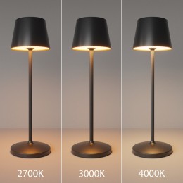 Настольная лампа декоративная Maytoni Nook MOD494RL-L1BK