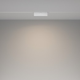 Накладной светильник Maytoni Basis Rot TR036-2-12W4K-W