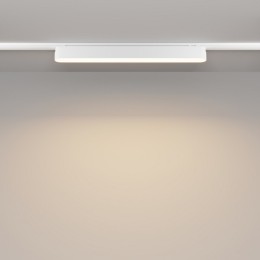 Накладной светильник Maytoni Basis TR080-1-18W3K-W