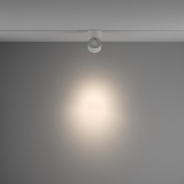 Светильник на штанге Maytoni Yin TR084-1-15W4K-W