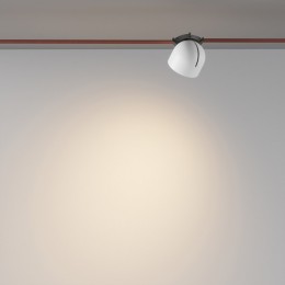 Накладной светильник Maytoni Cup TR124B-12W3K-W