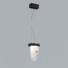 Подвесной светильник Odeon Light Foros 5438/12L