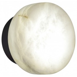 Накладной светильник ST-Luce Only SL1019.401.01