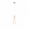 Подвесной светильник ST-Luce Elegra SL1402.253.01
