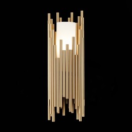 Накладной светильник ST-Luce Cesena SL1629.301.01