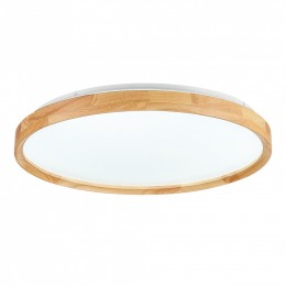 Накладной светильник EVOLUCE DELIA SLE201382-01