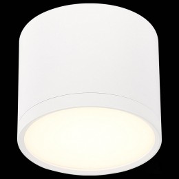 Накладной светильник ST-Luce Rene ST113.532.09