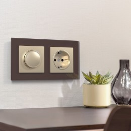 Розетка с заземлением, без рамки Werkel шампань W1171011