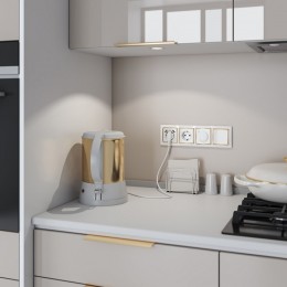 Розетка с заземлением и со шторками и 2хUSB, без рамки Werkel белый W1171501