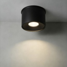 Накладной светильник Wertmark WTA WTA.O01.607.30.07