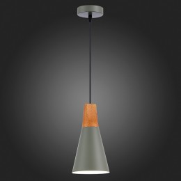 Подвесной светильник EVOLUCE Modica SLE125173-01