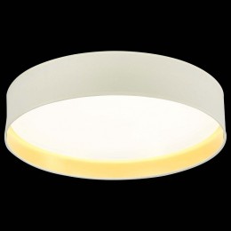 Накладной светильник EVOLUCE Brescia SLE300552-01