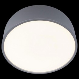 Накладной светильник Loft it Axel 10201/350 Grey