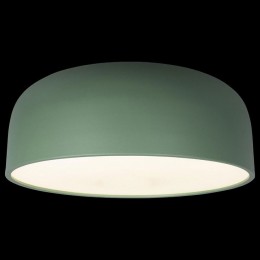 Накладной светильник Loft it Axel 10201/480 Green