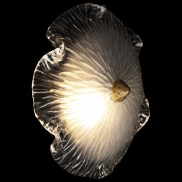 Накладной светильник Loft it Bloom 10352W/B AB